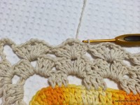 Tapete retangular passo a passo - www.croche.com (100)