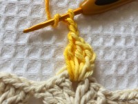 Tapete retangular passo a passo - www.croche.com (141)