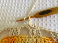 Tapete retangular passo a passo - www.croche.com (81)