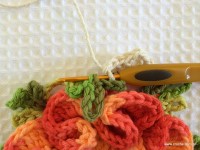 Tapete_cam_lia_redondo_PAP_www.croche.com_15_