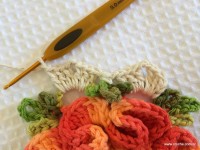 Tapete_cam_lia_redondo_PAP_www.croche.com_16_