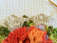 Tapete_cam_lia_redondo_PAP_www.croche.com_17_