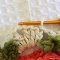 Tapete_cam_lia_redondo_PAP_www.croche.com_20_