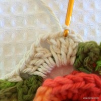 Tapete_cam_lia_redondo_PAP_www.croche.com_21_