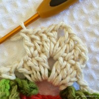 Tapete_cam_lia_redondo_PAP_www.croche.com_24_