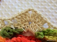 Tapete_cam_lia_redondo_PAP_www.croche.com_31_