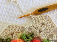 Tapete_cam_lia_redondo_PAP_www.croche.com_35_