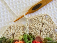 Tapete_cam_lia_redondo_PAP_www.croche.com_36_