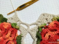 Tapete_cam_lia_redondo_PAP_www.croche.com_74_