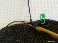 Coruja passo a passo (99)