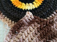 Emendas passo a passo (12)