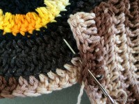 Emendas passo a passo (13)