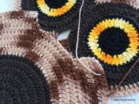 Emendas passo a passo (16)