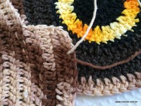 Emendas passo a passo (17)