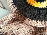 Emendas passo a passo (3)