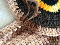 Emendas passo a passo (4)