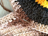 Emendas passo a passo (5)