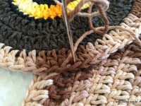 Emendas passo a passo (6)