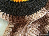 Emendas passo a passo (8)