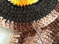 Emendas passo a passo (9)