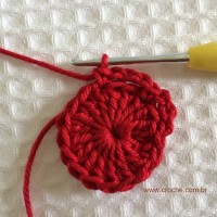 Flor para aplicações passo a passo (10)