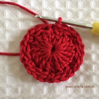 Flor para aplicações passo a passo (11)