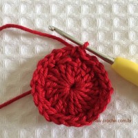 Flor para aplicações passo a passo (12)