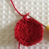 Flor para aplicações passo a passo (13)