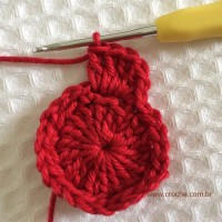 Flor para aplicações passo a passo (14)