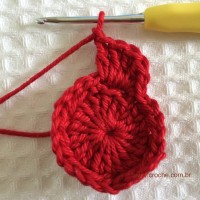 Flor para aplicações passo a passo (15)