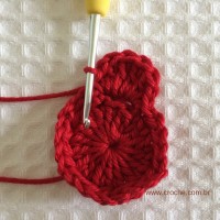 Flor para aplicações passo a passo (16)