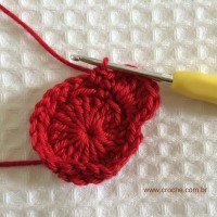 Flor para aplicações passo a passo (17)