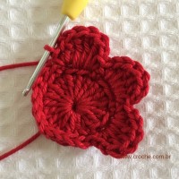 Flor para aplicações passo a passo (18)