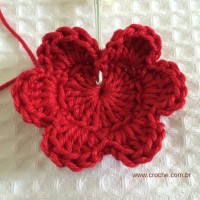 Flor para aplicações passo a passo (21)