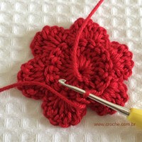 Flor para aplicações passo a passo (22)