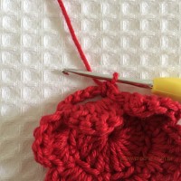 Flor para aplicações passo a passo (27)