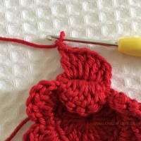 Flor para aplicações passo a passo (30)