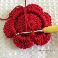 Flor para aplicações passo a passo (35)
