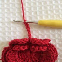 Flor para aplicações passo a passo (36)
