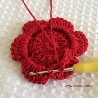 Flor para aplicações passo a passo (37)