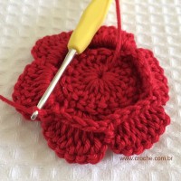Flor para aplicações passo a passo (38)