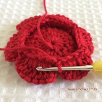 Flor para aplicações passo a passo (39)
