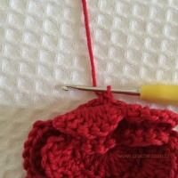 Flor para aplicações passo a passo (40)