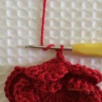 Flor para aplicações passo a passo (41)