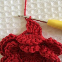 Flor para aplicações passo a passo (42)