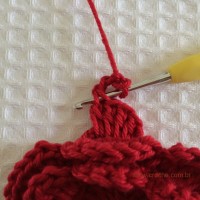 Flor para aplicações passo a passo (44)