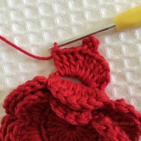 Flor para aplicações passo a passo (46)