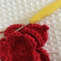 Flor para aplicações passo a passo (48)
