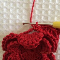 Flor para aplicações passo a passo (49)
