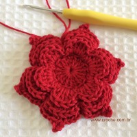 Flor para aplicações passo a passo (51)